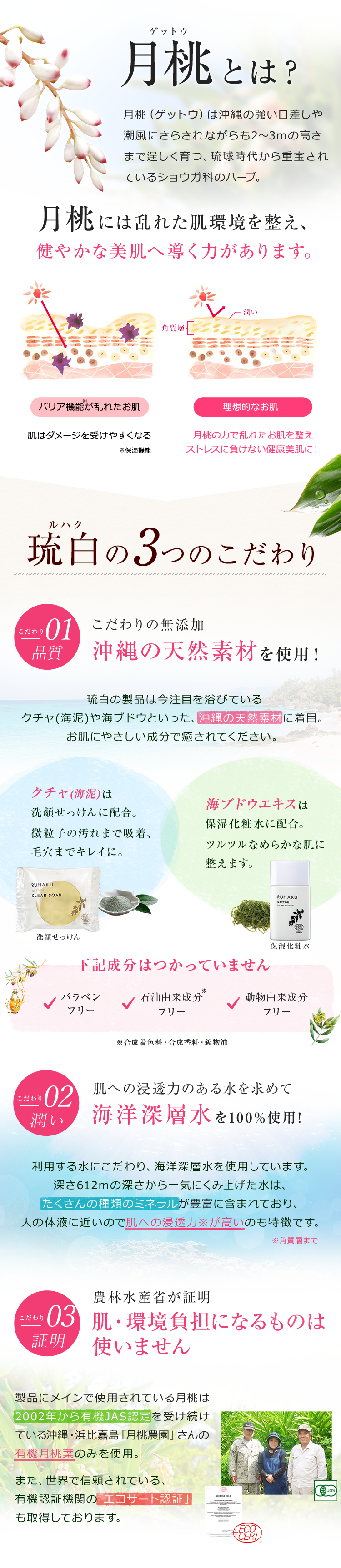 琉白の３つのこだわり